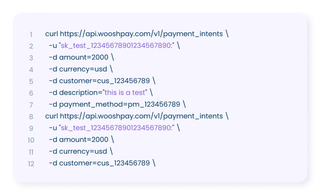 Agent-friendly WooshPay payment API example