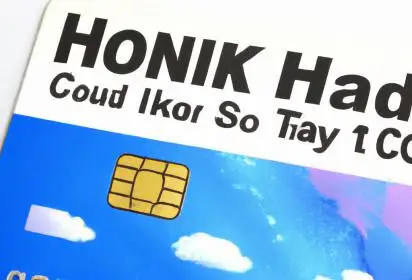 È possibile pagare le tasse in Hong Kong con carta di credito